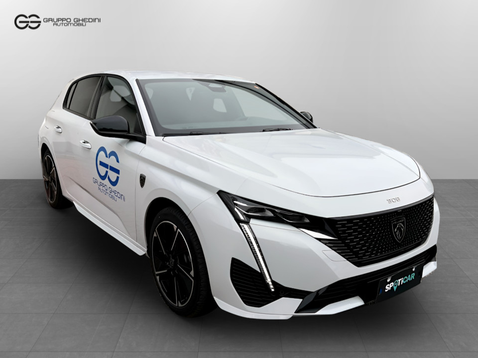 PEUGEOT NUOVA E-308 FIRST EDITION Aziendale - 17