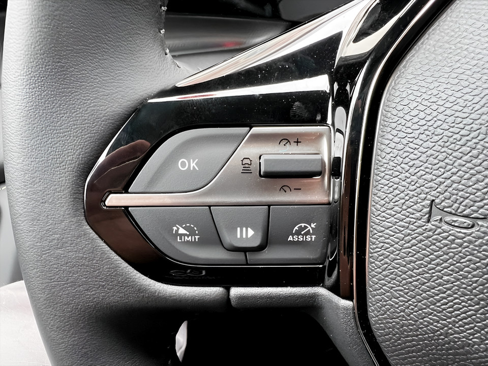 PEUGEOT NUOVA E-308 FIRST EDITION Aziendale - 12