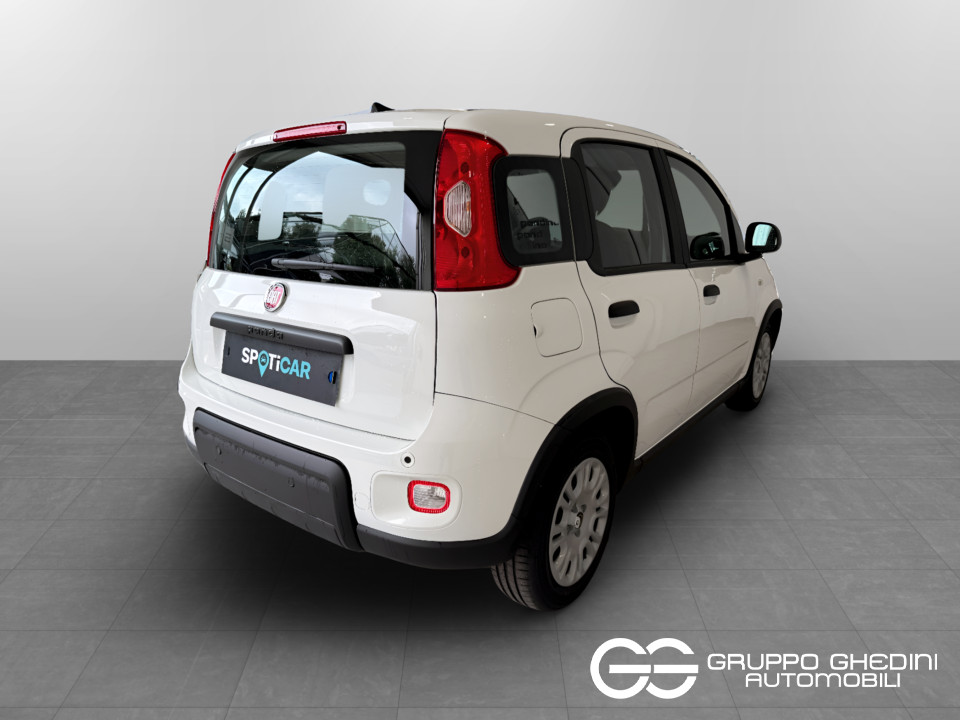 FIAT NUOVA PANDA Panda Serie 7 1.0 70cv HybridPanda usato - 4