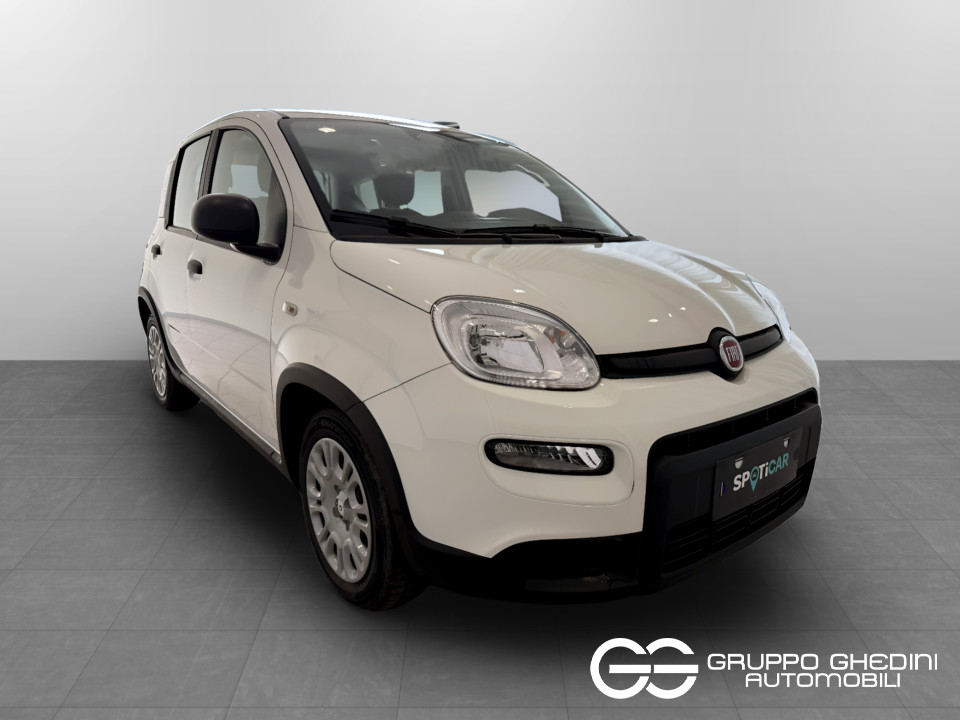 FIAT NUOVA PANDA Panda Serie 7 1.0 70cv HybridPanda usato - 6