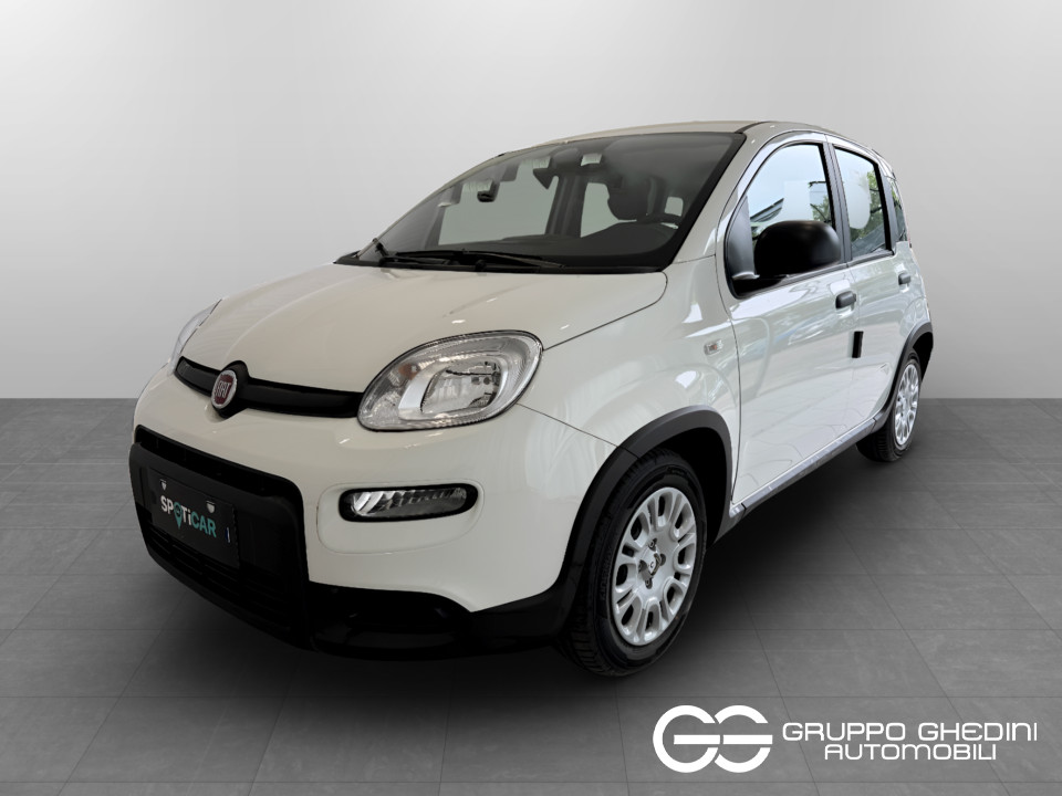 FIAT Panda Serie 7 1.0 70cv HybridPanda Ibrida usato