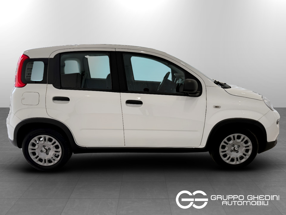 FIAT NUOVA PANDA Panda Serie 7 1.0 70cv HybridPanda usato - 5