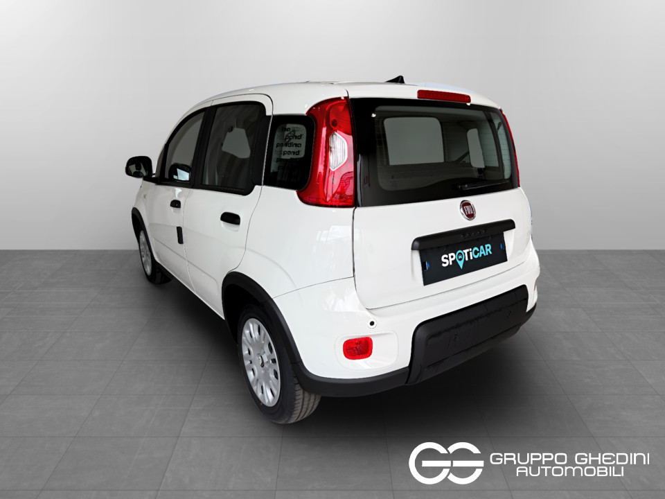 FIAT NUOVA PANDA Panda Serie 7 1.0 70cv HybridPanda usato - 2