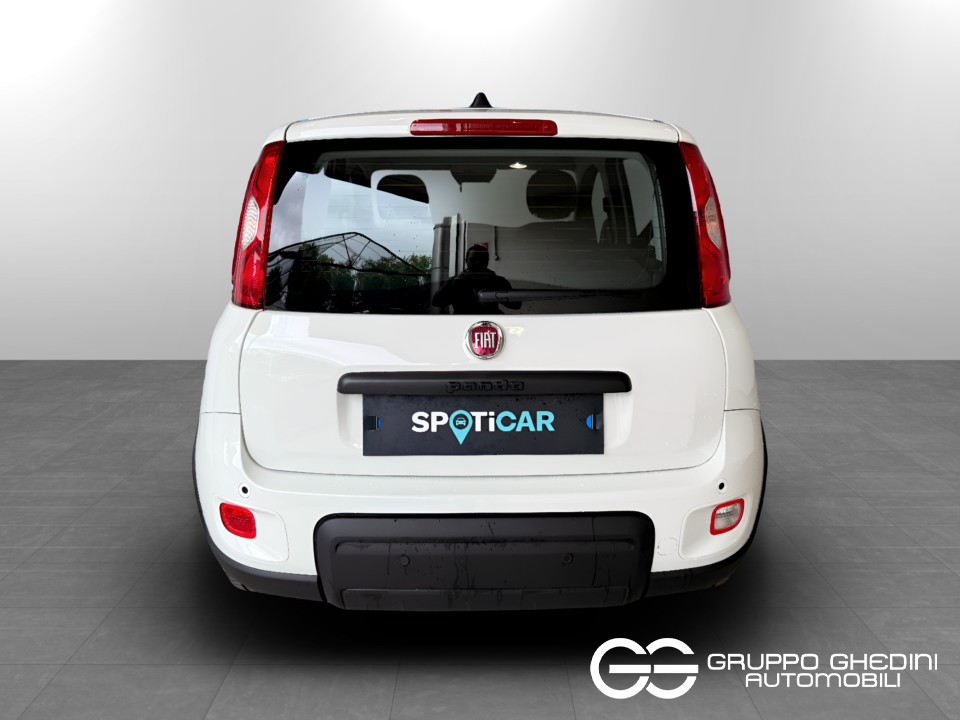 FIAT Panda Serie 7 1.0 70cv HybridPanda Ibrido benzina Aziendale - 3