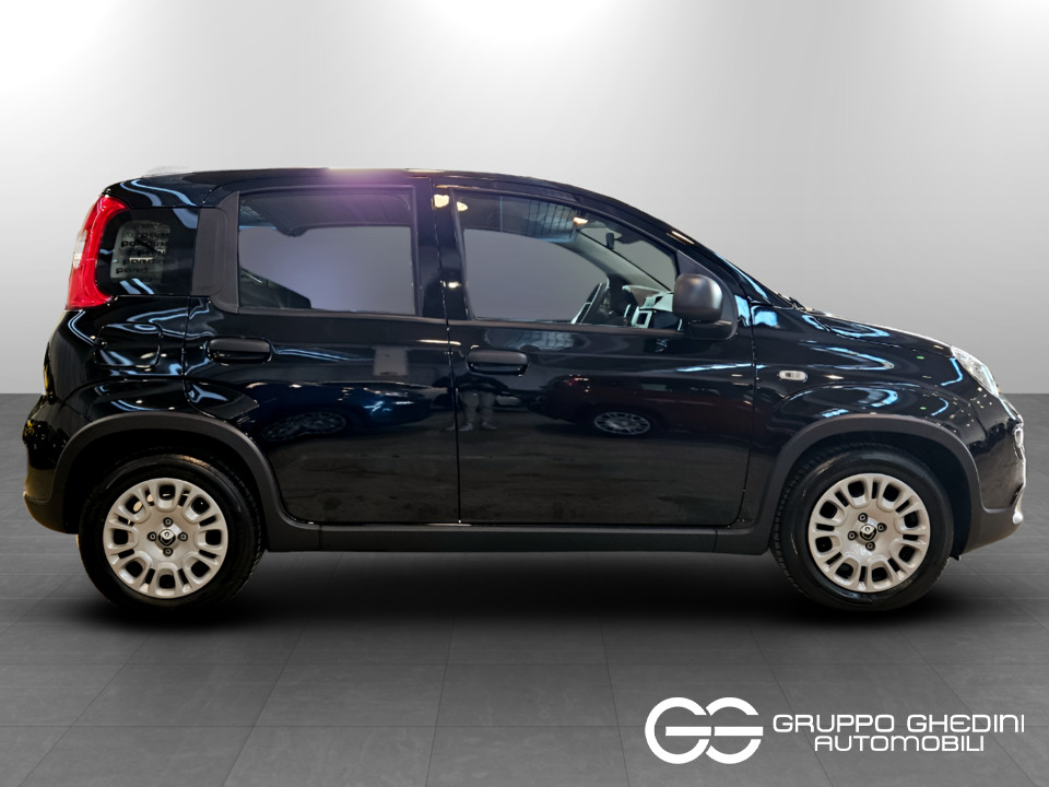 FIAT Panda Serie 7 1.0 70cv HybridPanda Ibrida usato - 2