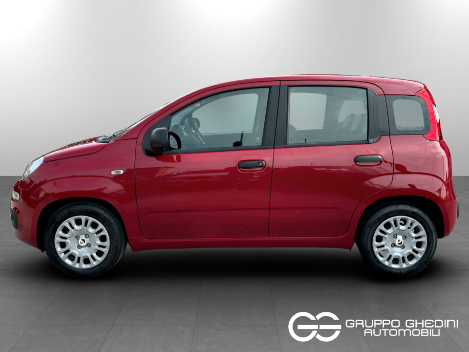 FIAT NUOVA PANDA Panda 1.0 70cv Hybrid Panda usato - 2