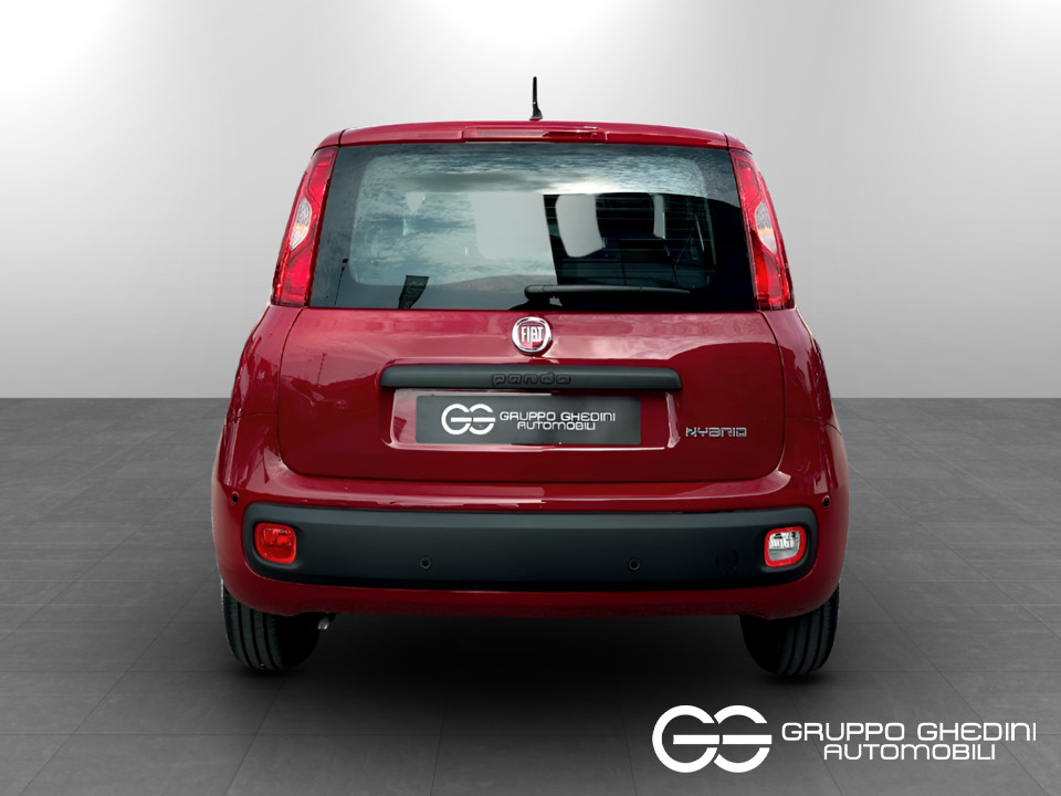 FIAT Panda 1.0 70cv Hybrid Panda Ibrido benzina Aziendale - 3
