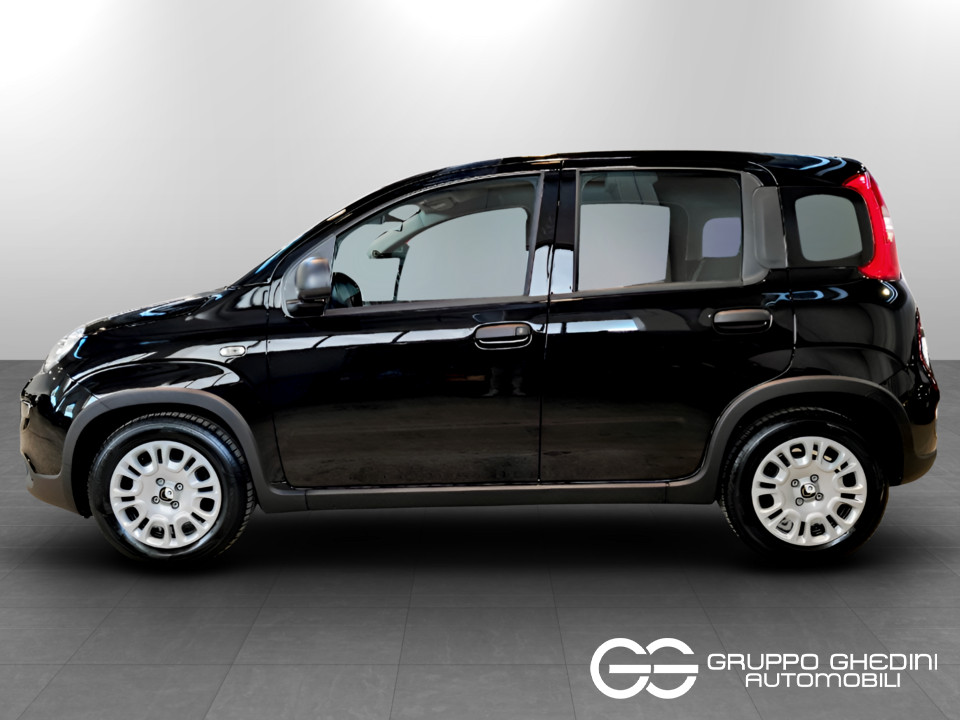FIAT Panda 1.0 70cv Hybrid Panda Ibrida km0 - 2