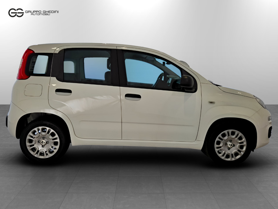 FIAT Panda 1.0 70cv Hybrid Icon Ibrido benzina Aziendale - 2