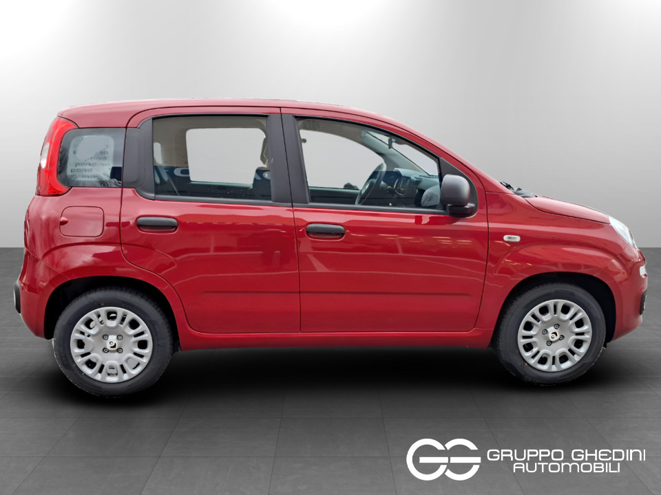 FIAT NUOVA PANDA Panda 1.0 70cv Hybrid Icon km0 - 6