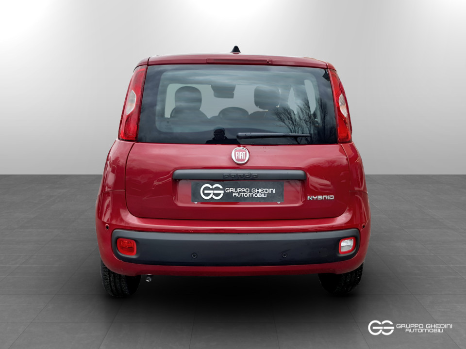 FIAT Panda 1.0 70cv Hybrid Icon Ibrida km0 - 4