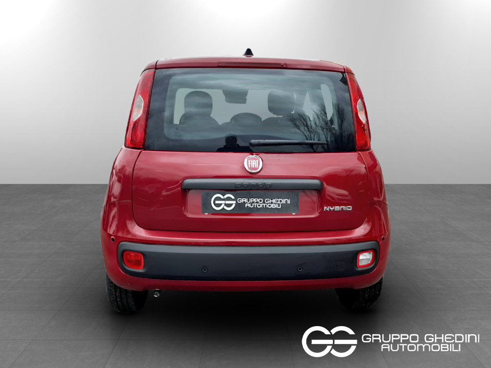 FIAT Panda 1.0 70cv Hybrid Icon Ibrida km0 - 4