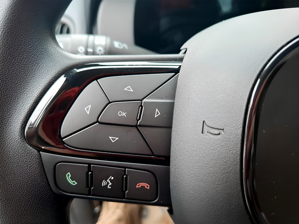 FIAT Panda 1.0 70cv Hybrid Icon Ibrido benzina Aziendale - 9