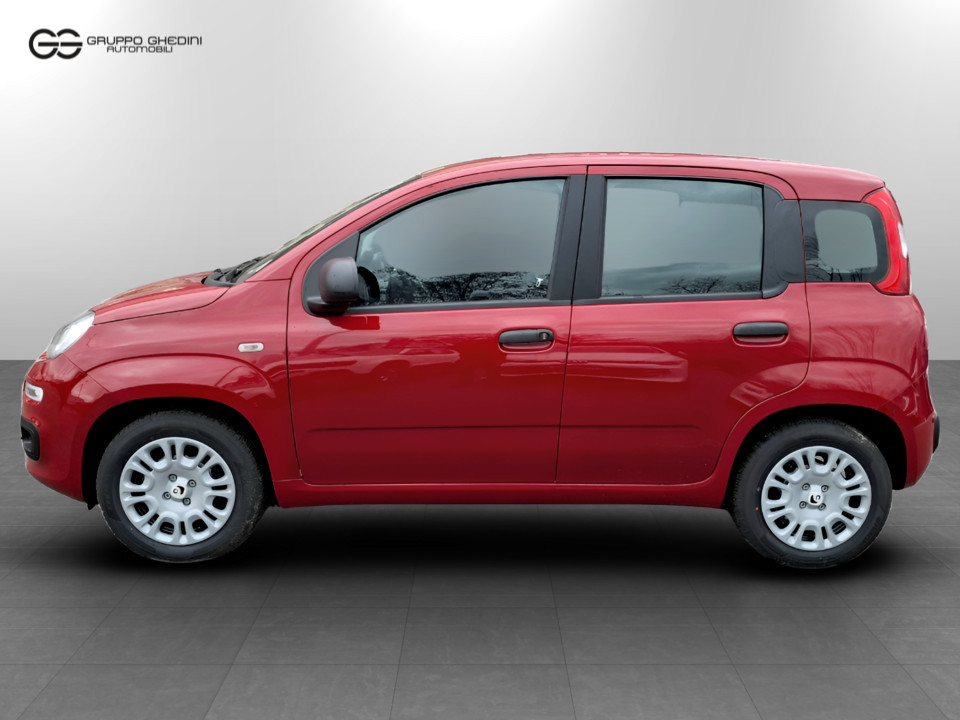 FIAT Panda 1.0 70cv Hybrid Icon Ibrido benzina Aziendale - 2