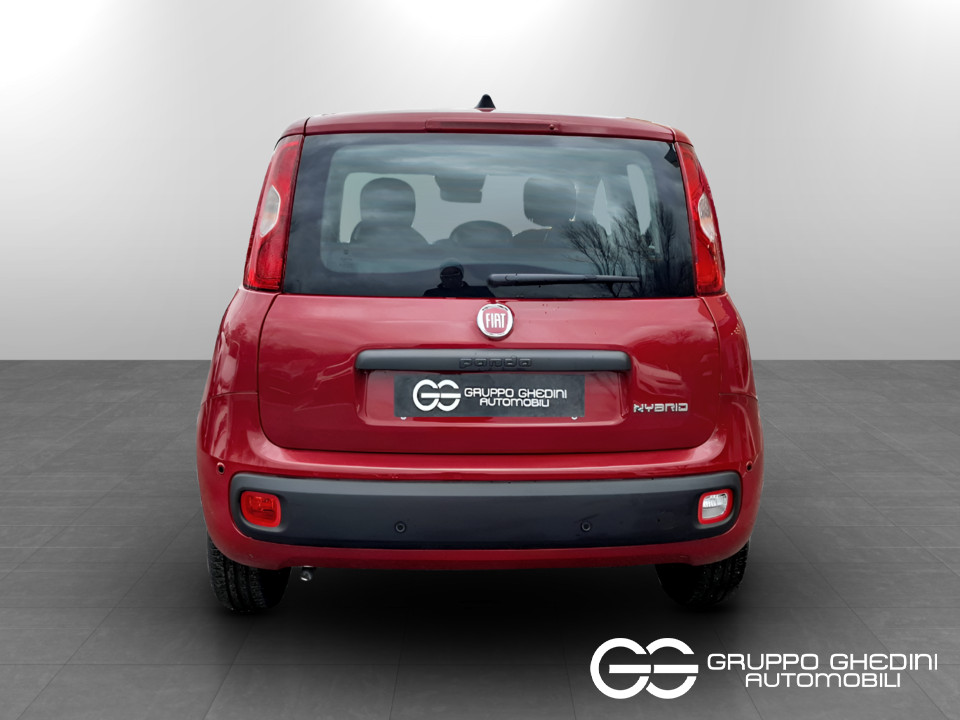 FIAT Panda 1.0 70cv Hybrid Icon Ibrida km0 - 4