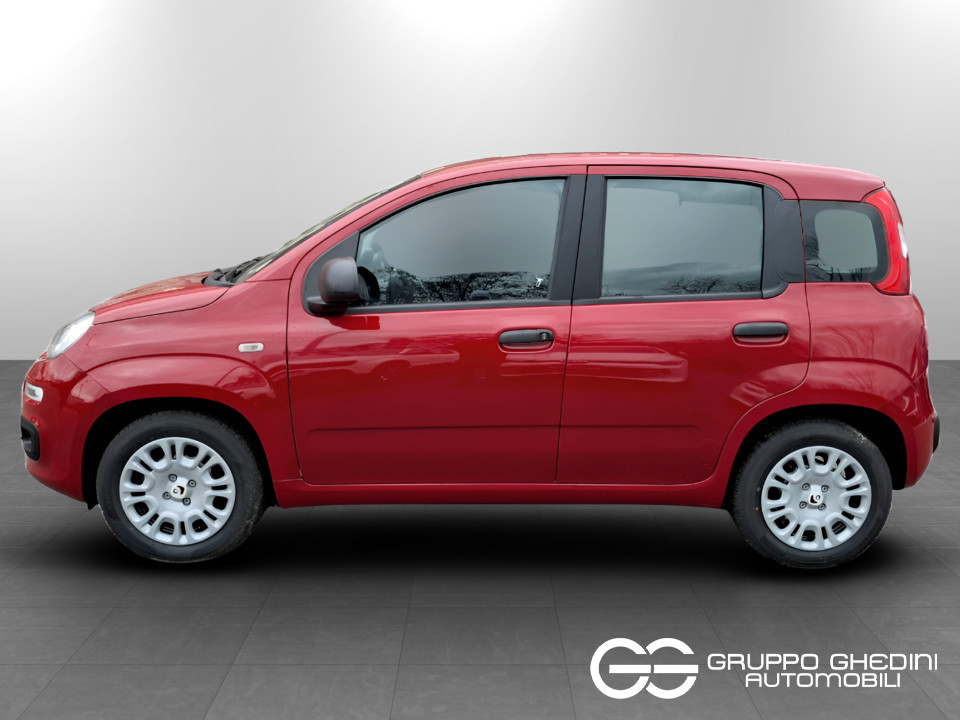 FIAT Panda 1.0 70cv Hybrid Icon Ibrida km0 - 1