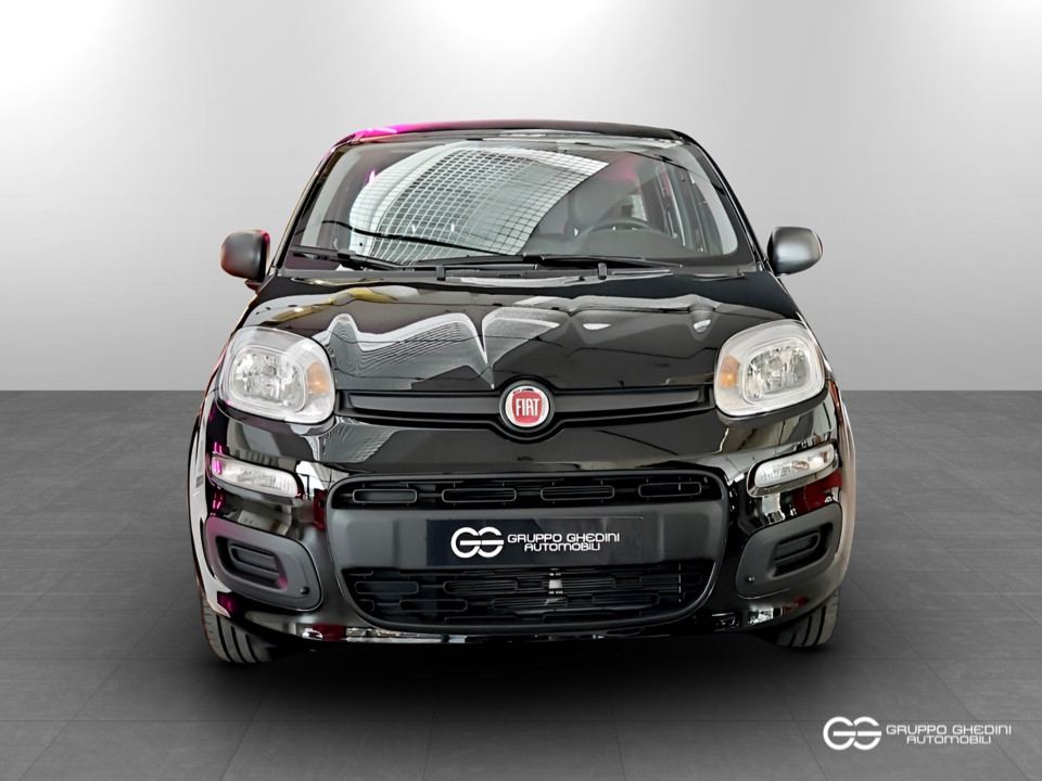FIAT Panda 1.0 70cv Hybrid Icon Ibrida km0 - 3