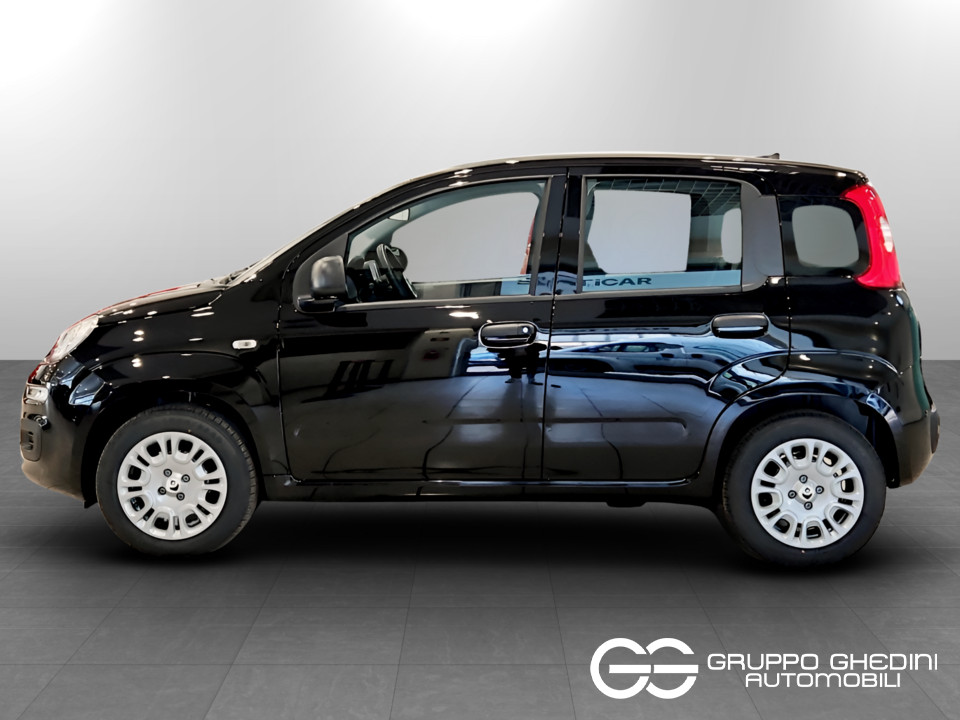 FIAT Panda Pandina 1.0 65cv Hybrid Icon Ibrida km0 - 1