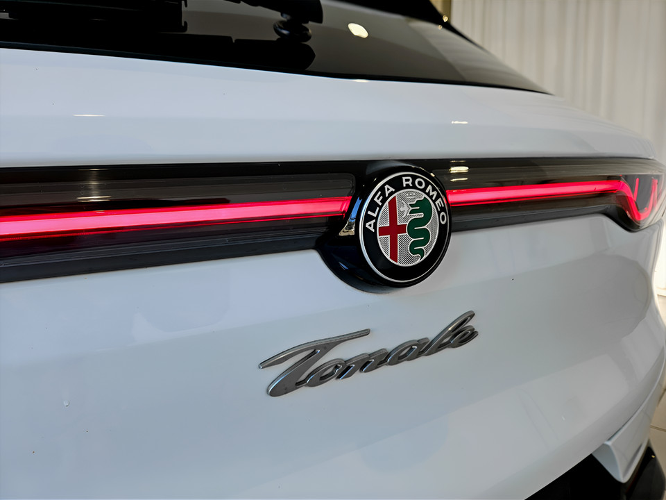 ALFA ROMEO Tonale 1.6 Ti 130cv tct6 usato - 15