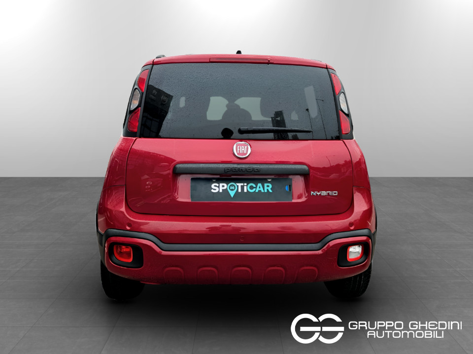 FIAT Panda III 2021 Cross Panda 1.0 firefly hybrid Cross s&s 70cv 5p.ti usato - 3