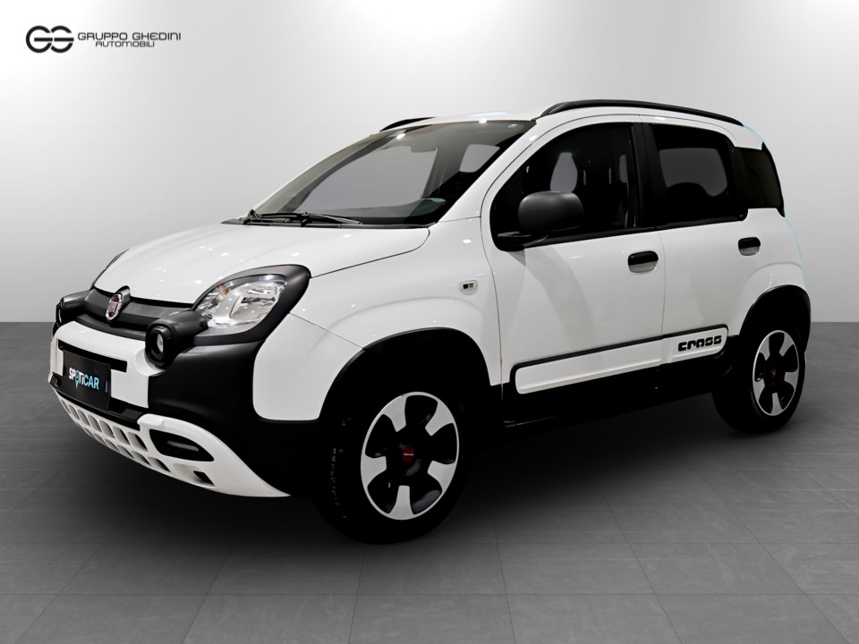 FIAT Panda 1.2 City Cross s&s 69cv Benzina Usato